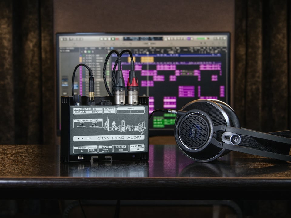 Cranborne Audio N22H Headphone Amplifier, Cat5 Snake, and C.A.S.T